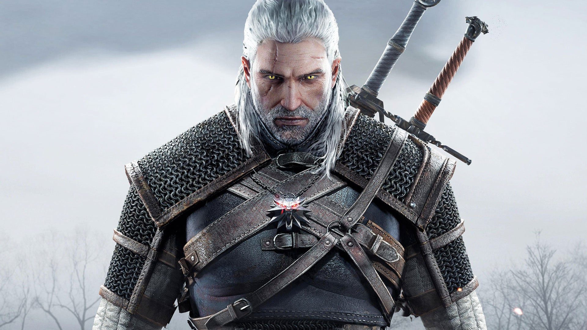 The Witcher 3: Wild Hunt